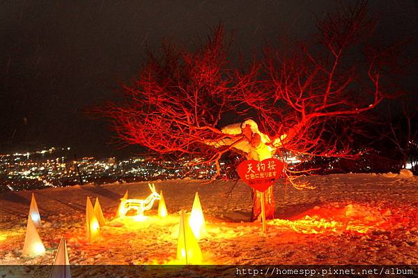 北海道 小樽天狗山ロープウェイ 冬季 點燈 夜景 七色に光る天狗桜のライトアップ  天狗山山頂【森のライトアップ】 天狗山神社ライトアップ