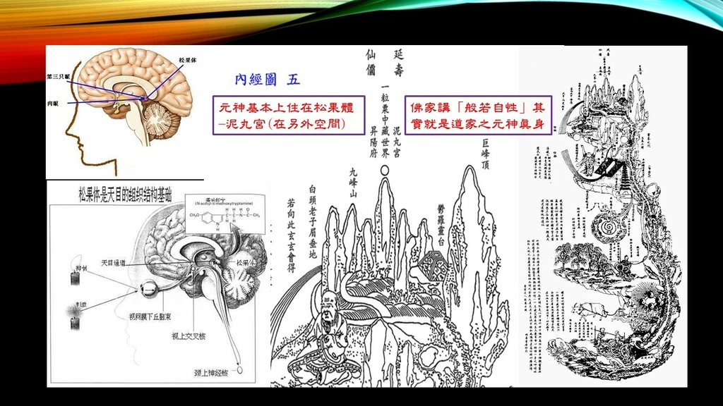 投影片31.JPG