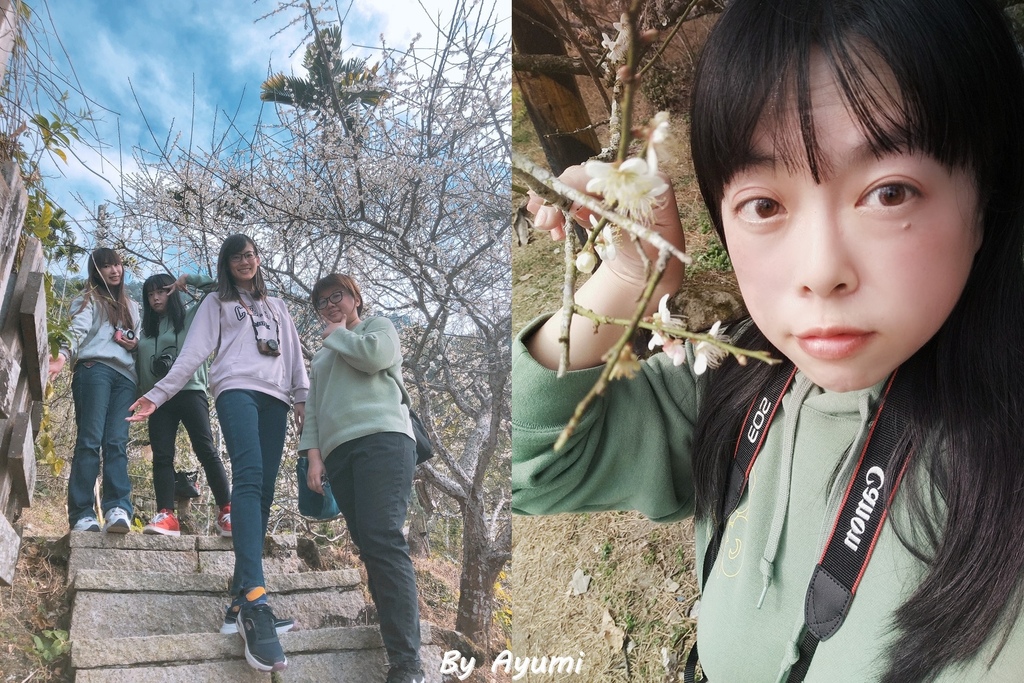 台南旅遊景點 梅嶺賞梅採果趣 文川梅子雞風味餐 玉井白色教堂 龜丹溫泉泡腳去 台南在地好味道小豪洲沙茶爐