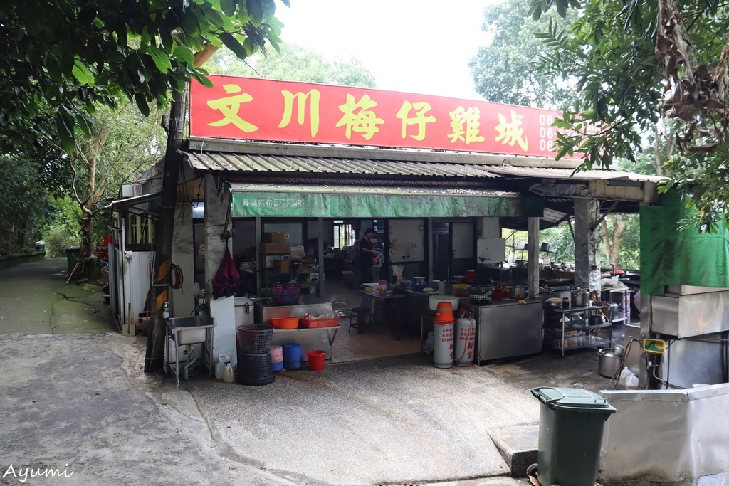 [台南冬季楠西之旅推薦]龜丹天喜悅溫泉會館泡腳/莊子大樹無菜