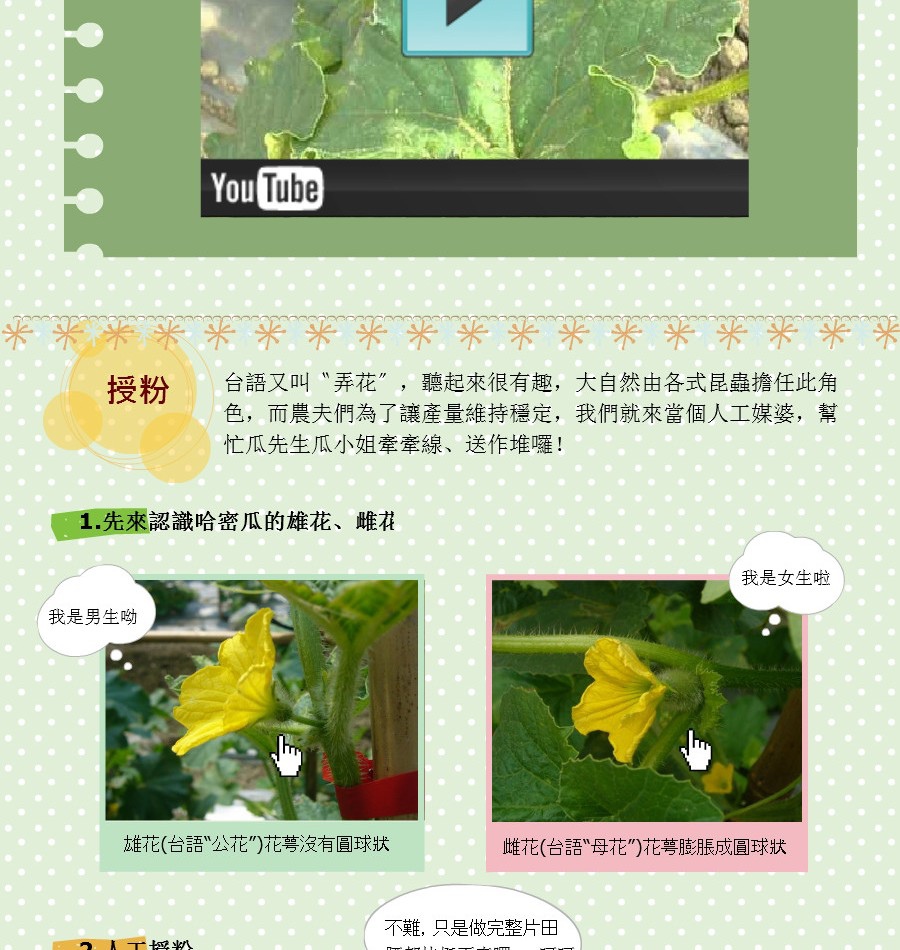 授粉‧蜜蜂來做工囉~~