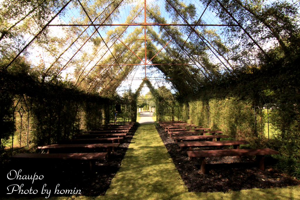 IMG_0115-1.png IMG_0115-1.png