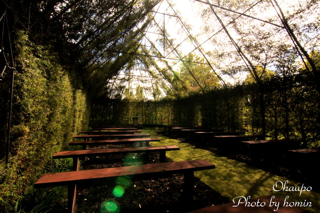 IMG_0110-1.png IMG_0110-1.png