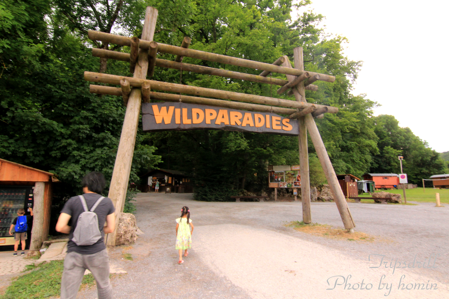 IMG_1928-2.png IMG_1928-2.png