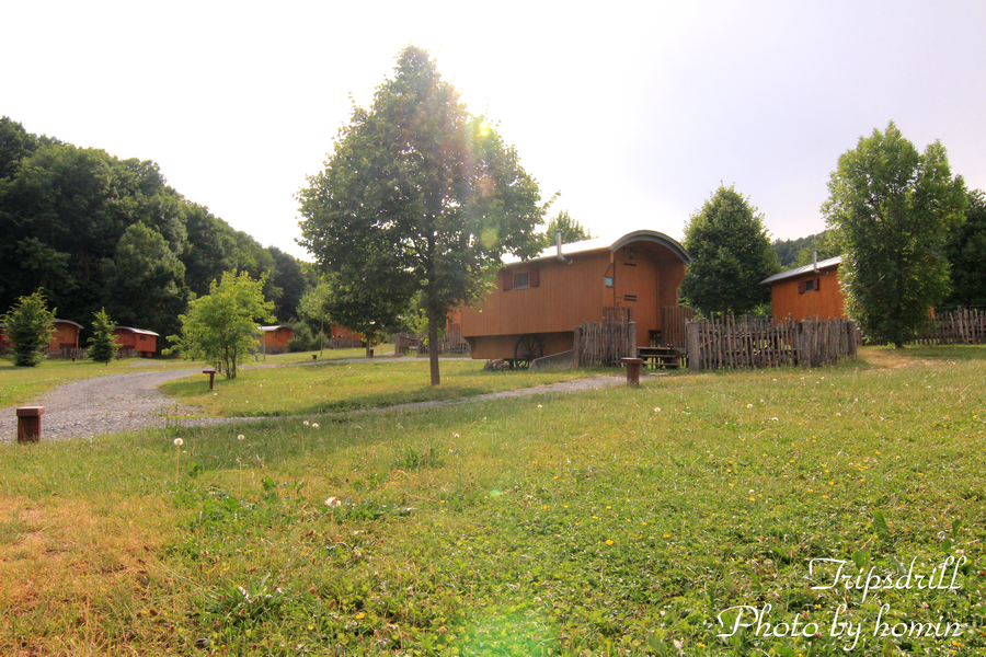 IMG_1980-2.png IMG_1980-2.png