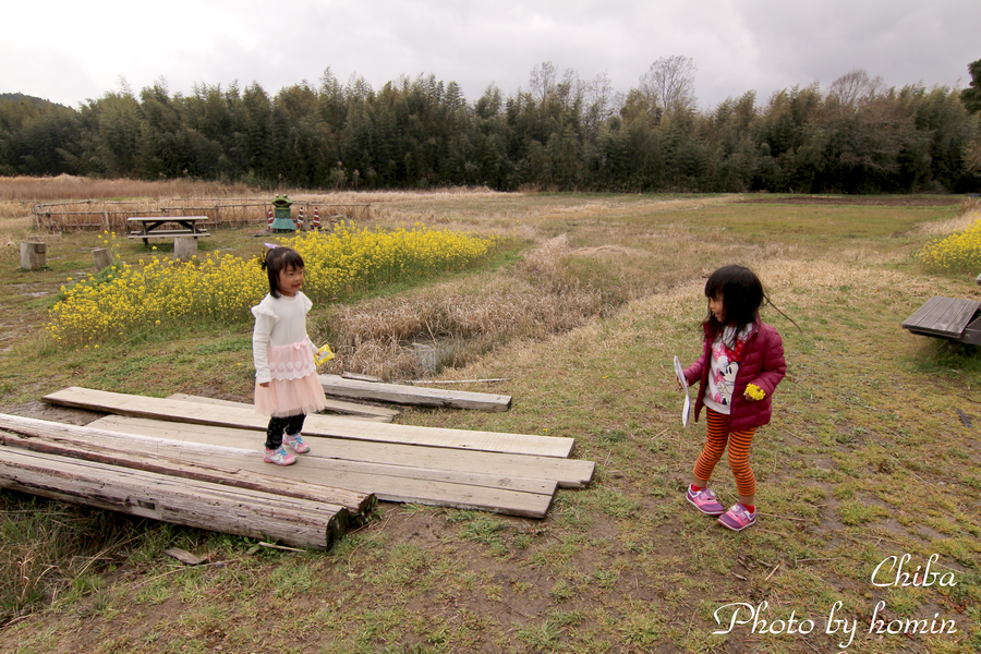 IMG_1465-2.png IMG_1465-2.png