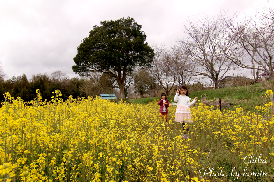 IMG_1472-2.png IMG_1472-2.png