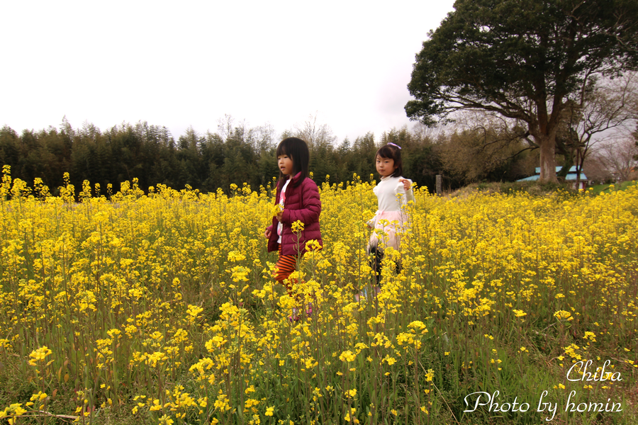IMG_1474-2.png IMG_1474-2.png