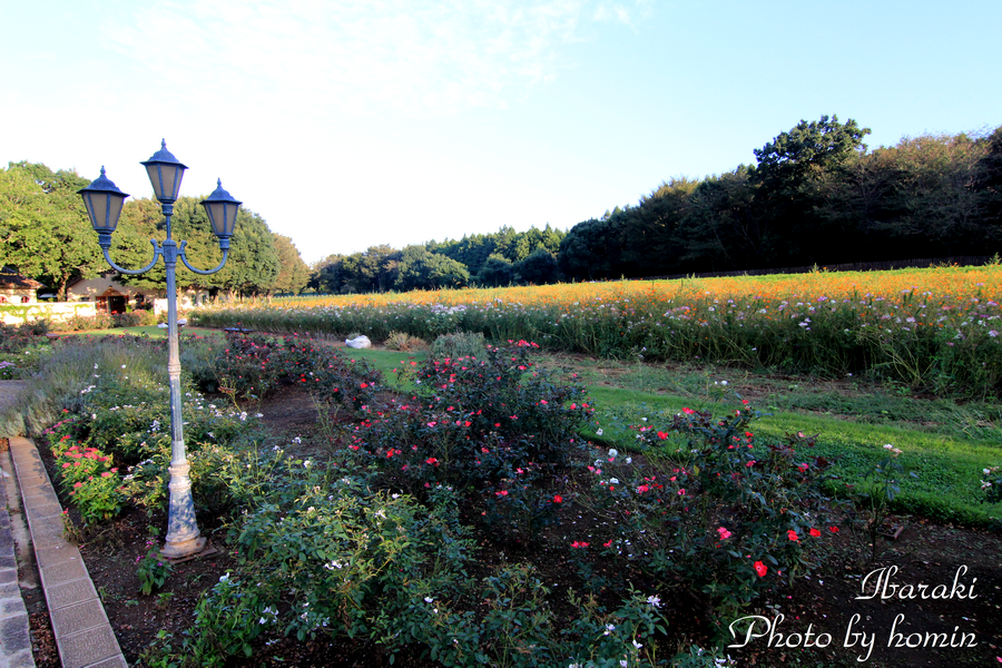 IMG_3222-2.png IMG_3222-2.png