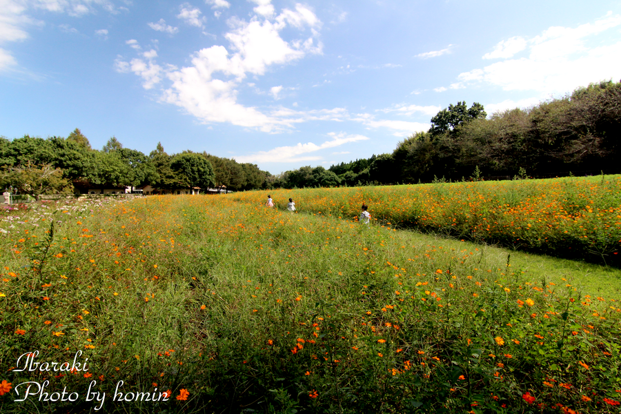 IMG_3129-2.png IMG_3129-2.png