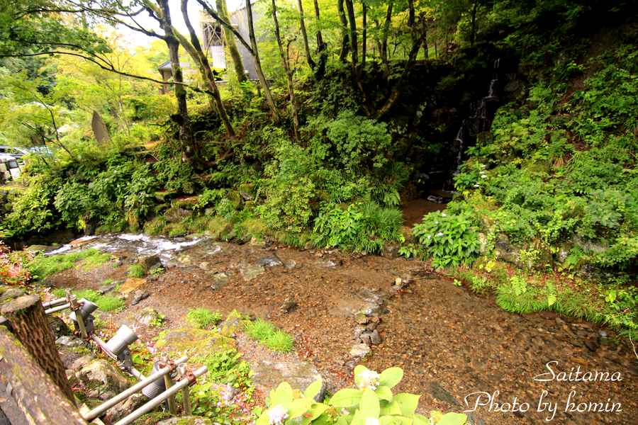 IMG_3518-2.png IMG_3518-2.png