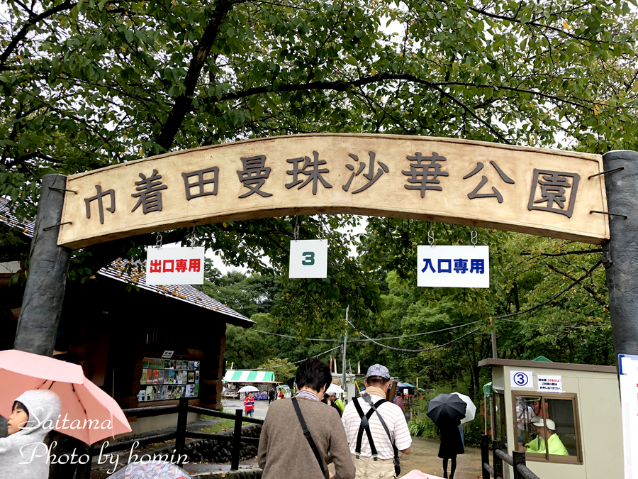 IMG_3447-2.png IMG_3447-2.png