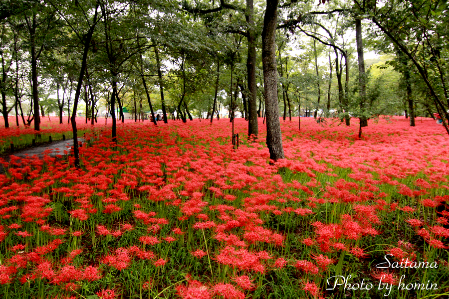 IMG_3441-2.png IMG_3441-2.png