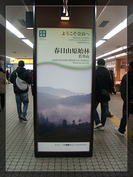 DSC05452-1.jpg DSC05452-1.jpg