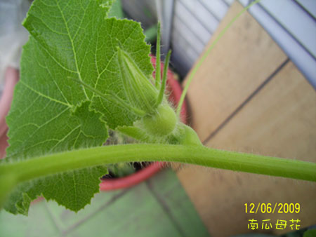100_2709.jpg 100_2709.jpg
