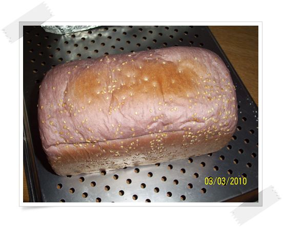 100_3300.jpg 100_3300.jpg
