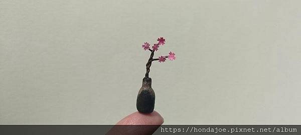 春暖花開(備份)