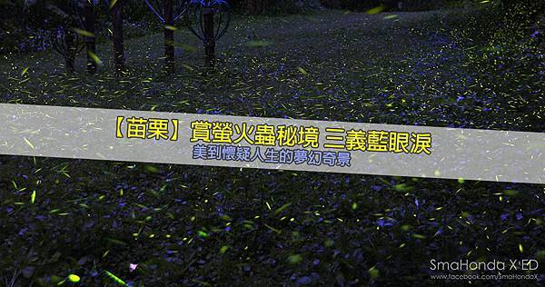 苗栗三義藍眼淚忘憂谷拍螢火蟲祕境