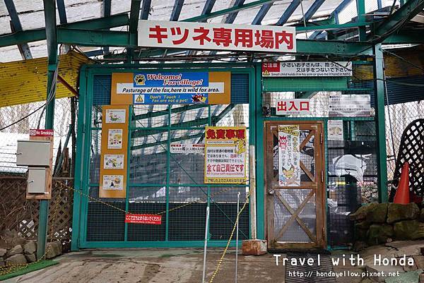 日本東北自助旅行藏王狐狸村