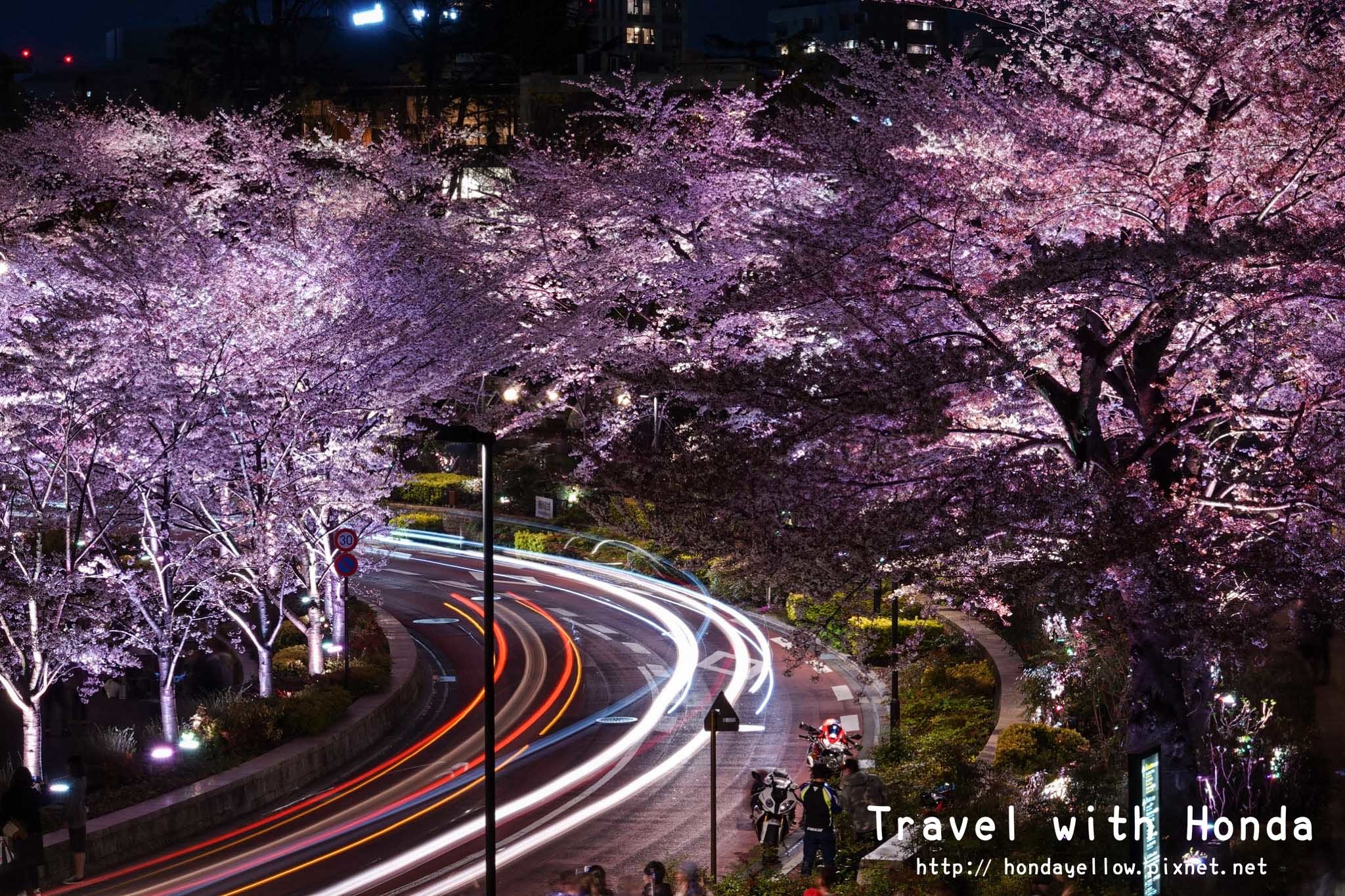 日本-你絕對會愛上的12個東京賞櫻景點-六本木 midtown.jpg