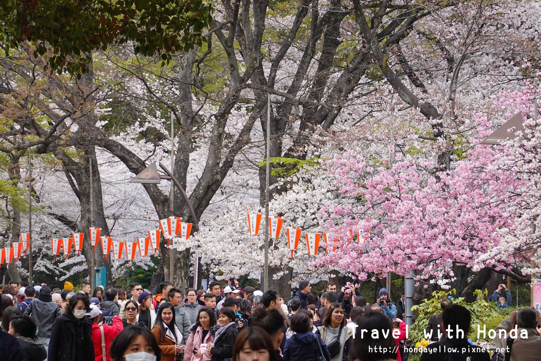 日本-你絕對會愛上的12個東京賞櫻景點-上野恩賜公園.jpg