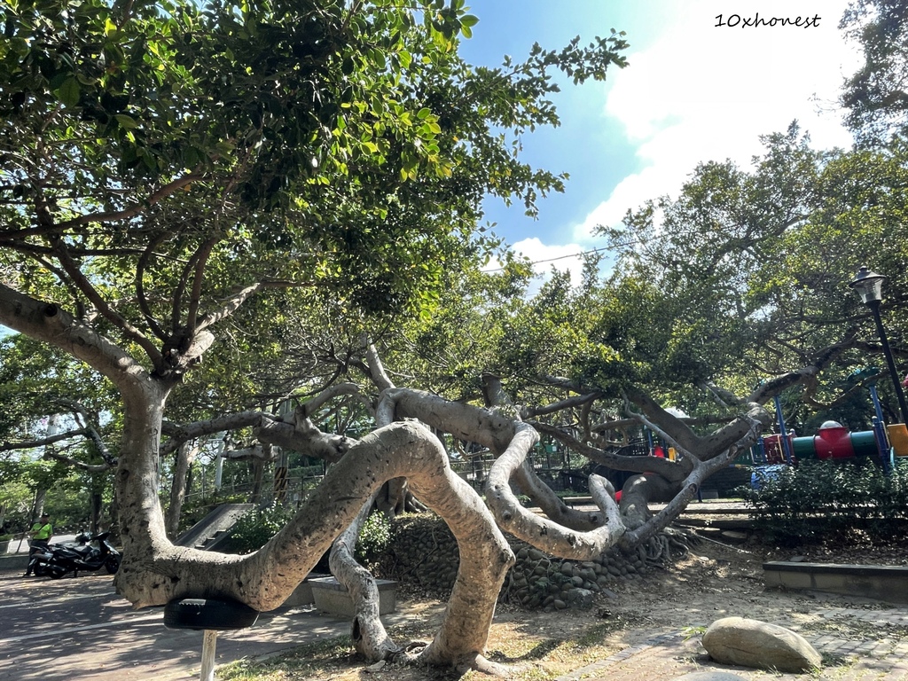 苗栗夏日必去免門票景點：功維敘隧道｜日頭赤炎炎也不甘我的事，七彩隧道好看又好涼！還有綠色隧道等你來踏青！