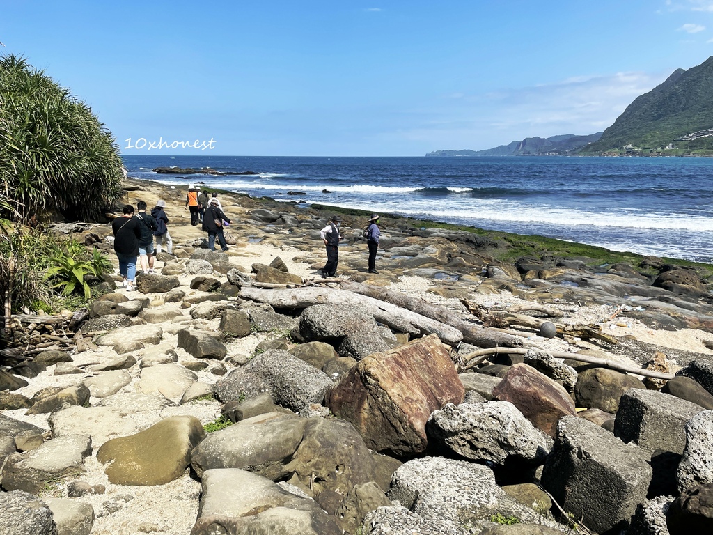 【免門票！瑞芳必看雙海景】2種海景1次滿足，俯衝時速達300km游隼也愛的酋長岩x微攀岩才能抵達的絕美象鼻岩！｜誰說北海岸只有野柳女王頭？