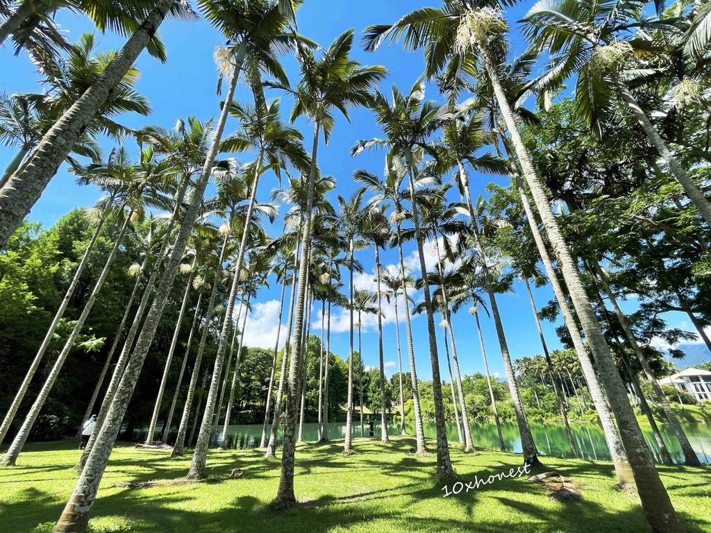 一秒到仙境，花蓮超美夢幻景點推薦！民宿、小吃、美景、腳踏車、大片草坪供跑跳~｜2022花蓮壽豐雲山水(介紹、跳石、收費/門票、民宿、開放時間)