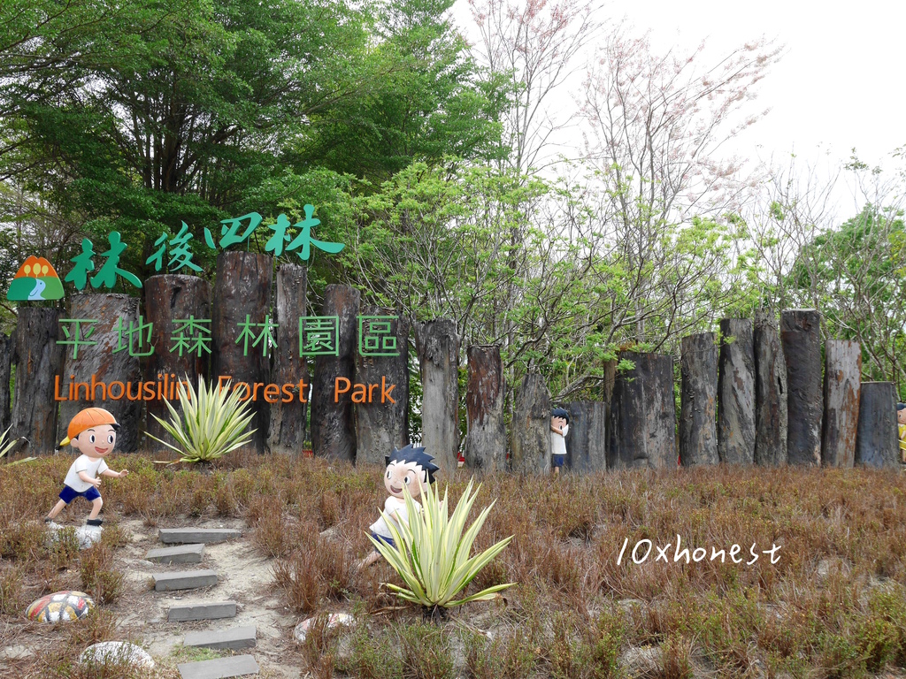 【林後四林平地森林園區】屏東免費親子景點推薦！享受田野閒適的單車玩水之旅！｜林後四林交通接駁車｜單車之旅評價