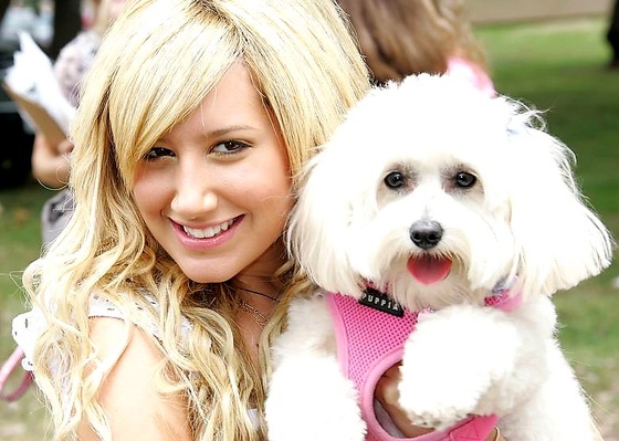 Ashley Tisdale