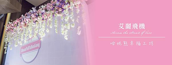 艾麗飛機.png 艾麗飛機.png