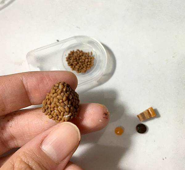 IMG_E8308.JPG IMG_E8308.JPG