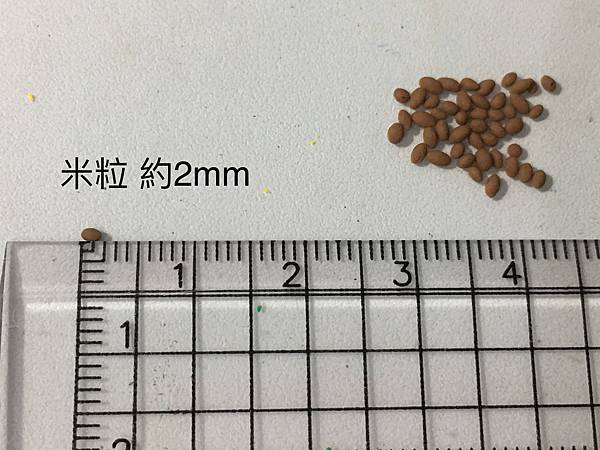 IMG_E8207.JPG IMG_E8207.JPG