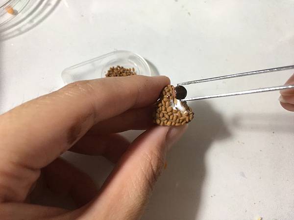 IMG_8386.JPG IMG_8386.JPG