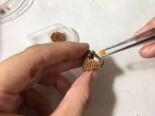 IMG_8394.JPG IMG_8394.JPG