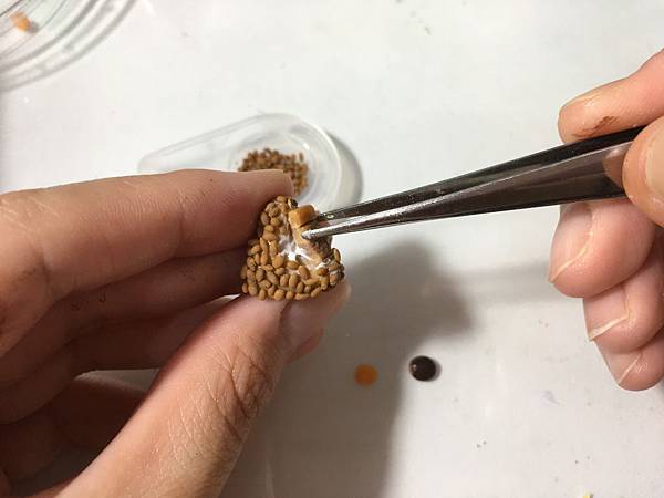 IMG_8372.JPG IMG_8372.JPG