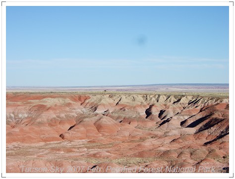 Planted Desert