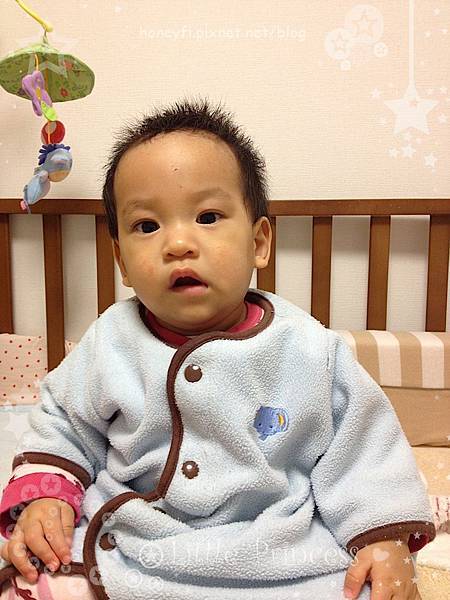 IMG_4437 IMG_4437