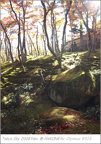 箱根美術館 四季庭園