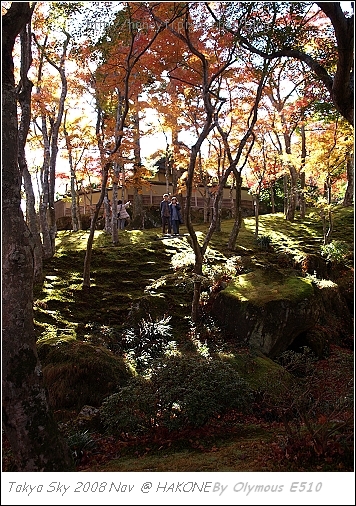 箱根美術館 四季庭園