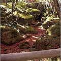箱根美術館 四季庭園