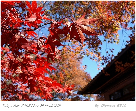 箱根美術館 四季庭園