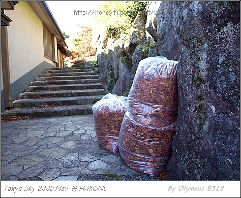 箱根美術館 四季庭園