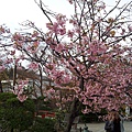 IMG_20130320_165846.jpg