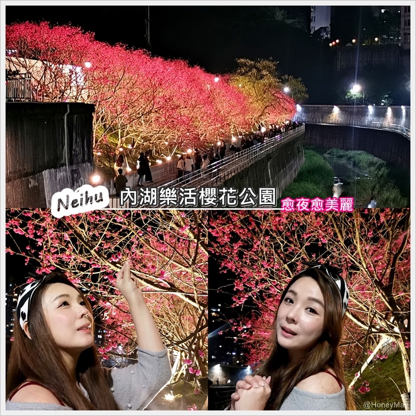 20230218 內湖樂活夜櫻.jpg