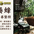 老實養蜂