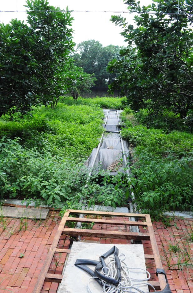 2016-05-25_164154.jpg 2016-05-25_164154.jpg