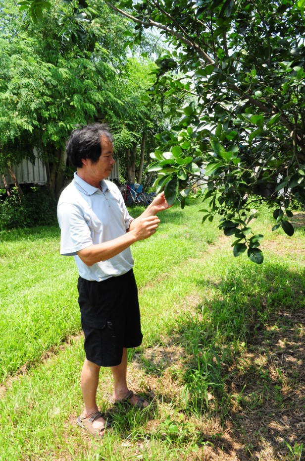 2016-05-25_164913.jpg 2016-05-25_164913.jpg