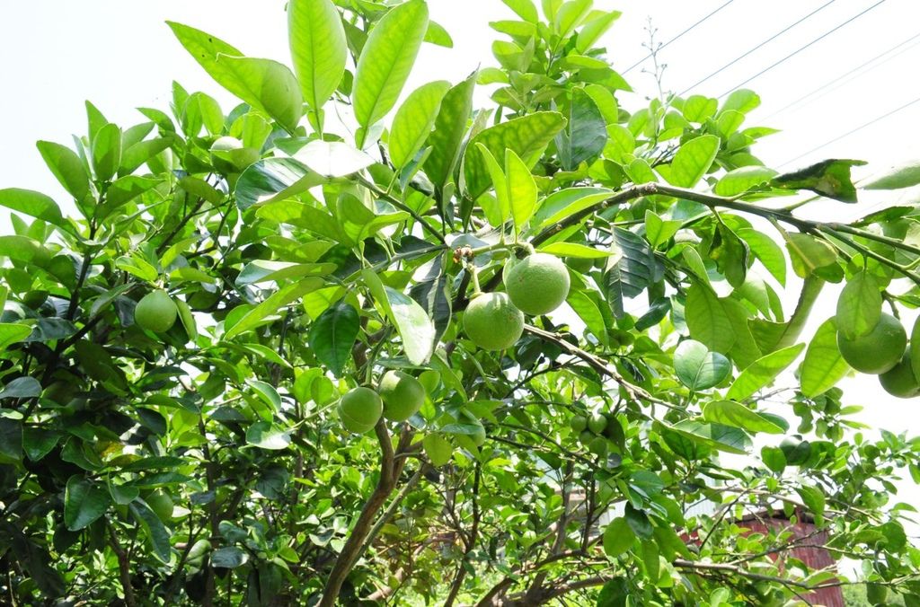 2016-05-25_165011.jpg 2016-05-25_165011.jpg