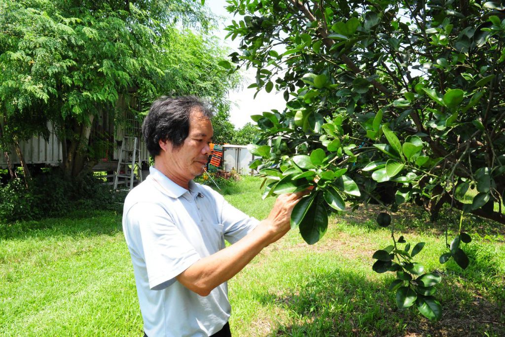 2016-05-25_164931.jpg 2016-05-25_164931.jpg